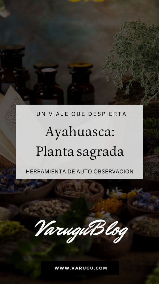 Qué es la Ayahuasca y sus efectos ¿Grial para el despertar espiritual?