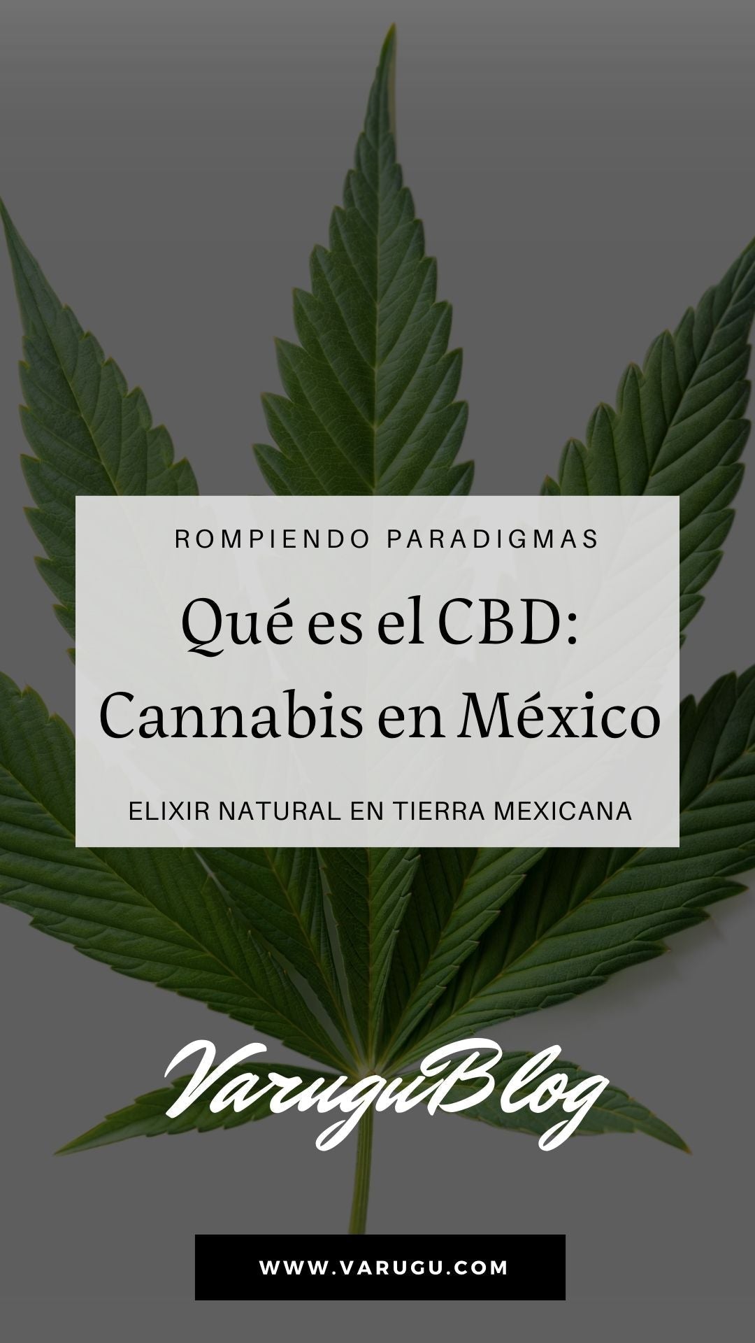 ¿Para qué sirve el CBD en aceite? ¡El elixir natural para el estrés!